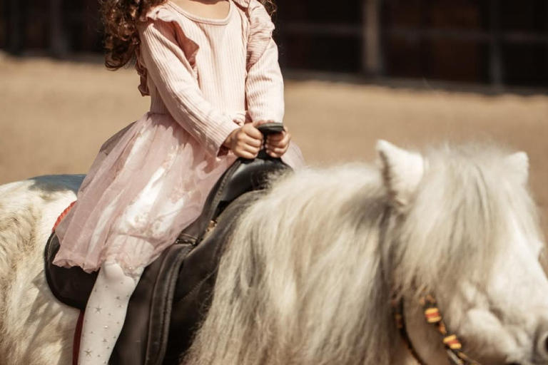 巴库骑马体验：邂逅世界名驹标准套餐