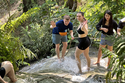 Chiang Mai:Wat Pha Lat,Doi Suthep&Sticky Waterfall Day Trip