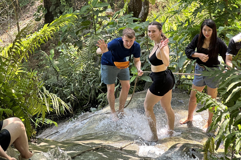 Chiang Mai:Wat Pha Lat,Doi Suthep&Sticky Waterfall Day Trip