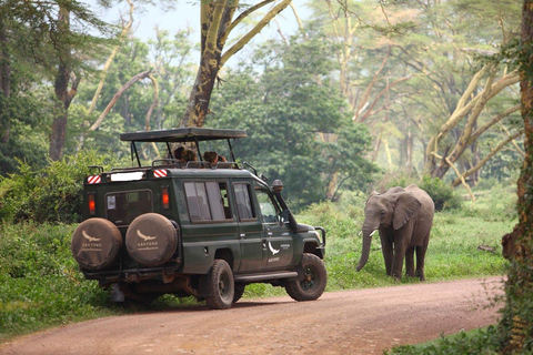 Arusha: Excursão de um dia à Cratera de Ngorongoro