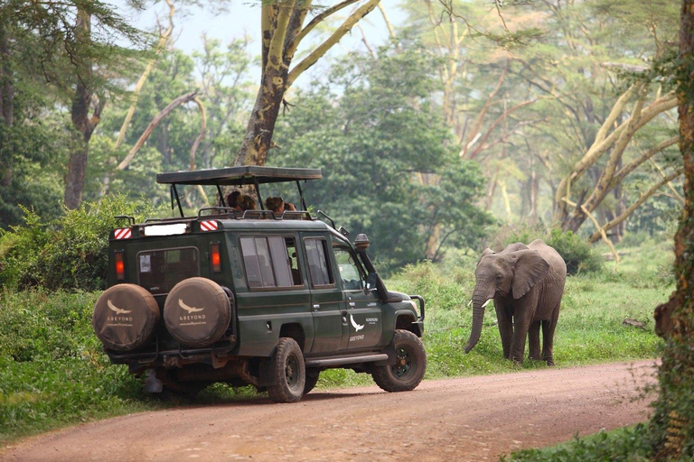 2 dagars safari i Tarangire och Ngorongorokratern