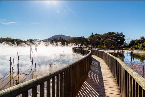 From Auckland: Rotorua Lakes, Redwood & Geothermal Day Trip