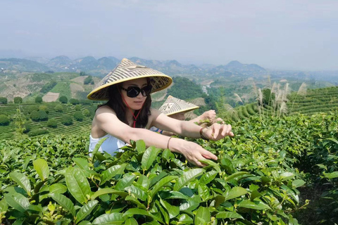 The Largest Tea Plantation and Xianggong Hill Tour