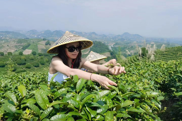 The Largest Tea Plantation and Xianggong Hill Tour