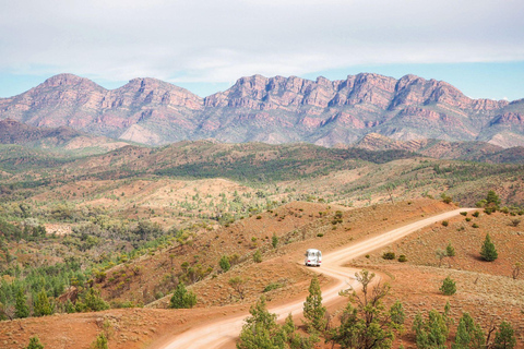 Van Yulara: 8-daagse tocht van Uluru naar AdelaideVan Yulara: 8-daagse Uluru naar Adelaide Tour