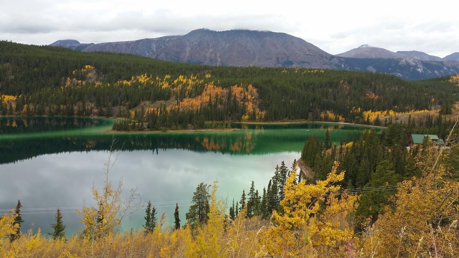 Skagway: Tour zur Yukon Hängebrücke mit Guide