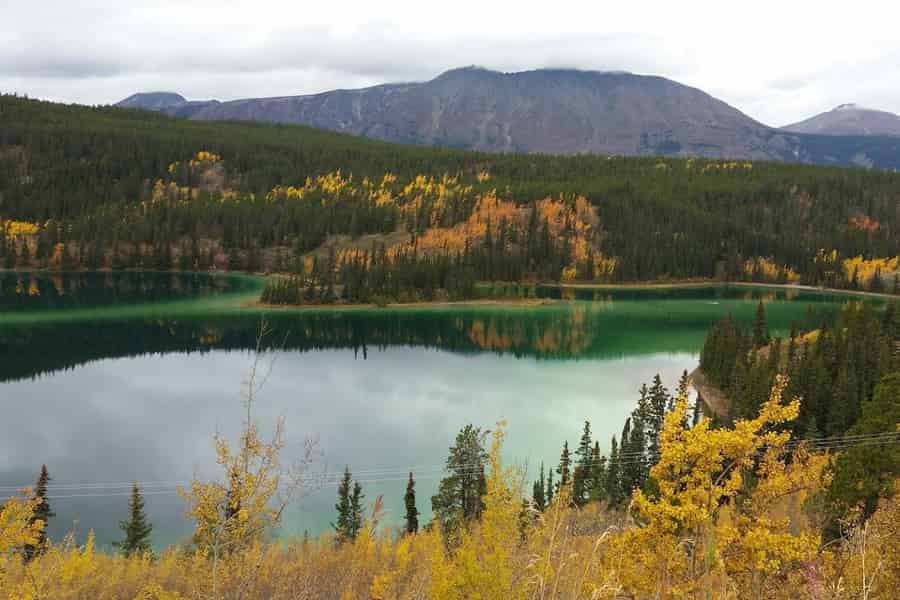 Skagway: Tour zur Yukon Hängebrücke mit Guide. Foto: GetYourGuide