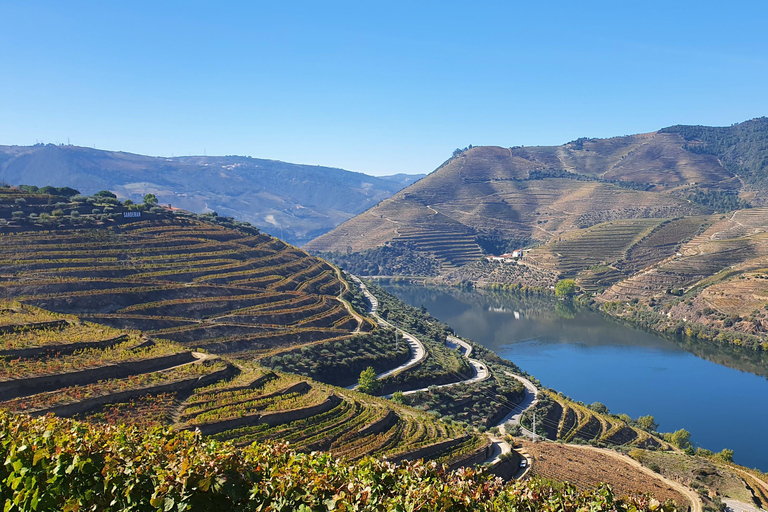 From Porto: Douro Valley Wine Tasting Tour With Hotel PickupPickup at Hotel