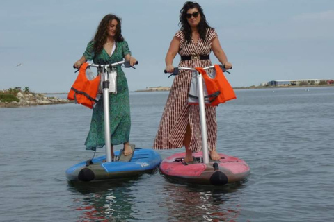 Gruissan: noleggio di aquastepper (un mix di paddle e stepper)Gruissan: noleggio di aquastepper (un mix tra paddle e stepper)