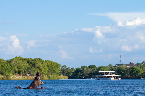 Crucero al atardecer por las cataratas Victoria