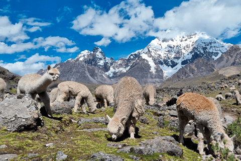 Excursion: Explore in one day the 7 lakes of Ausangate from Cusco