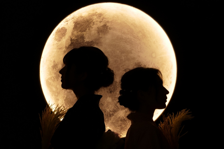 Kanazawa: Selfie-fotoupplevelse med uthyrning av kimono - Moon