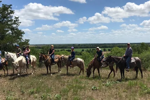 Austin: Maverick Horsemanship Trail Ride