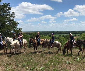 Austin: Maverick Horsemanship Trail Ride