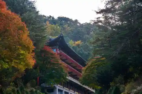 Excursión por Danyang: Templo de Guinsa y Bobaljae y Parque y Cueva de Ondal