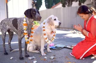 Kathmandu: Kukur Tihar Festival Tour mit einer einheimischen Familie