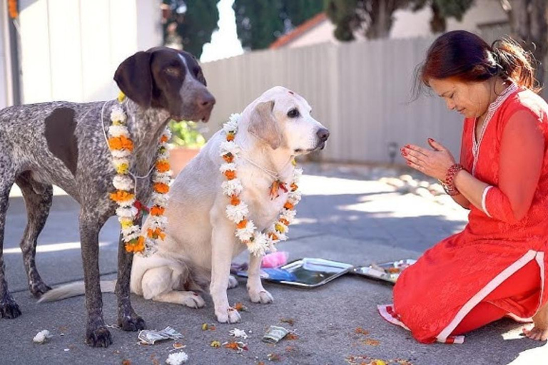 Kathmandu: Kukur Tihar Festival Tour with Local Family