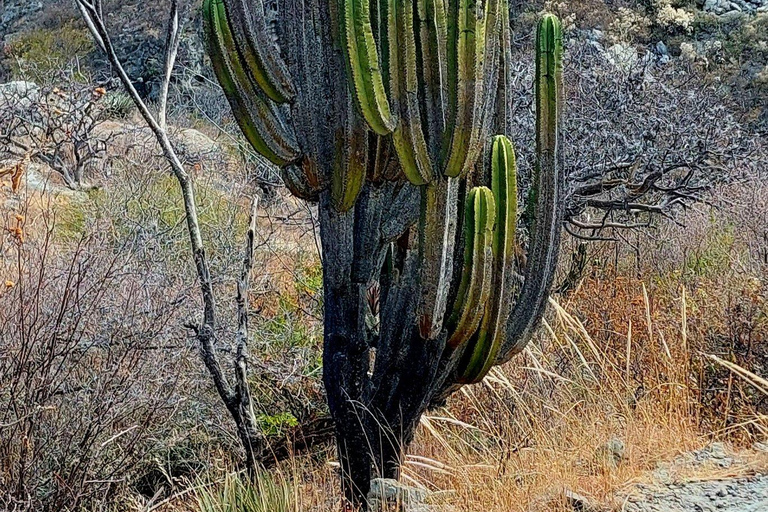 Mitla: Fahrradtour zur archäologischen Zone und zu Höhlen mit Felskunst