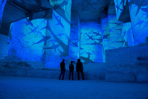 Les Baux-de-Provence: Carrières des Lumières Ocean ticket