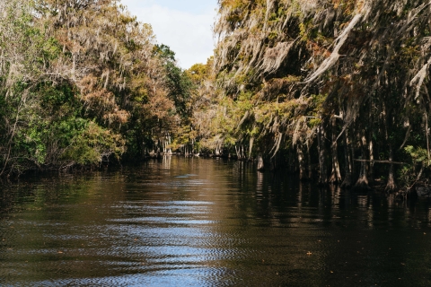 Orlando: 90-minutowa wycieczka przygodowa poduszkowcem Everglades
