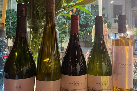 Buenos Aires: San Telmo Wine Bar - Wine Tasting