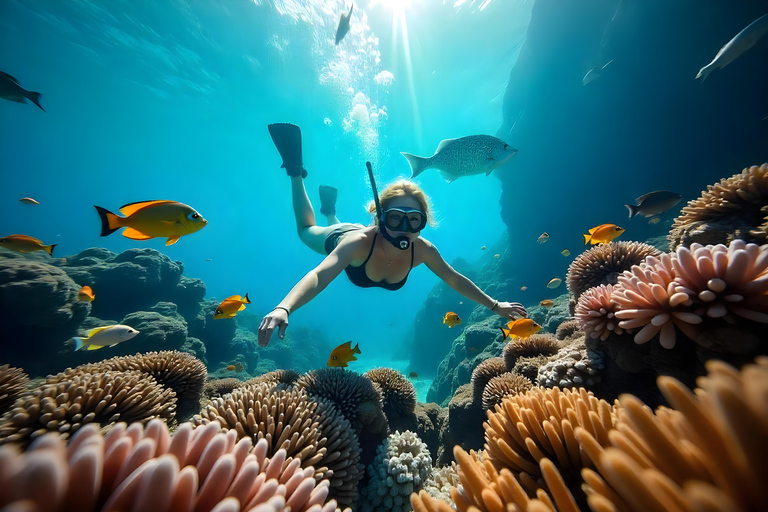 Hurghada: Excursão de mergulho com golfinhos e recifes de coral com almoçoPasseio de barco para observação de golfinhos com snorkeling e almoço