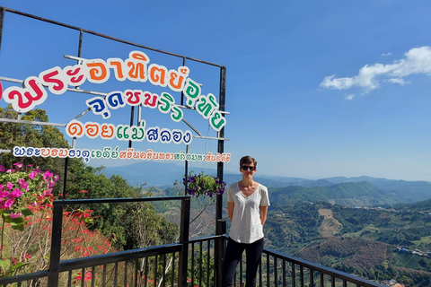 Chiang Rai: Mountains Discovery Doi Mae Salong & Doi Tung Mountains Discovery:Doi Mae Salong & Doi Tung (Private Tour)