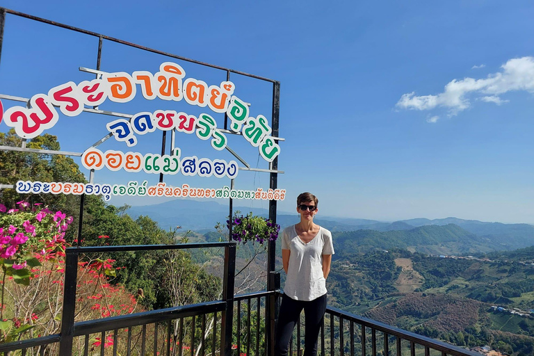 Chiang Rai: Mountains Discovery Doi Mae Salong & Doi Tung Mountains Discovery:Doi Mae Salong & Doi Tung (Private Tour)