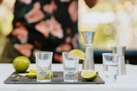 Riga: Visita a uma destilaria de gin com degustação e cocktails
