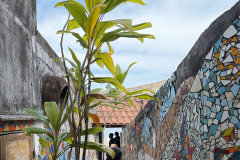 Rio: Tour and FIFA soccer field in the heart of the Tavares Bastos favela Rio: Visit and FIFA football pitch in the heart of the Tavares Bastos favela