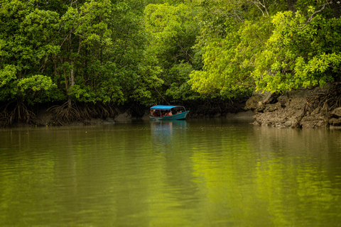 Langkawi:6 Hours Mangrove Night Safari with Pick Up & Dinner