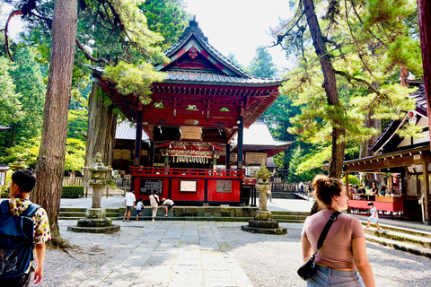 Tokyo: Mt. Fuji &amp; Hakone Cherry Blossoms Private Day Tour