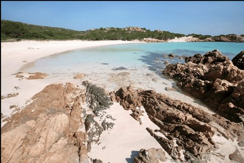 Porto-Vecchio: Sardinian Sea Excursion (Budelli, La Maddalena) Porto-Vecchio: Sardinian Sea Excursion (Budelli, Maddalena)