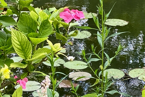 Privéreis Giverny Versailles Trianon Lunch vanuit ParijsGiverny Versailles Trianon met Lunch