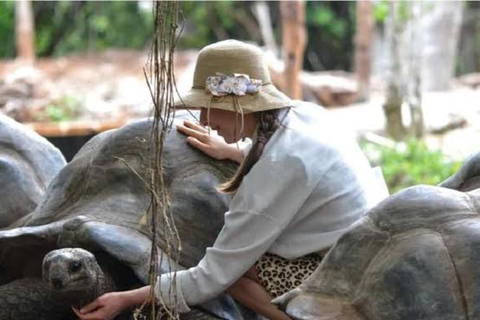 Zanzibar: Private Prison Island Tortoise Site & Stone Town. Private Tour With Meeting Point Pickup (No Entrance Fees)