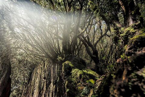 Teneriffa: Landschaftsfotografie, Coaching-Workshops 5 Std.