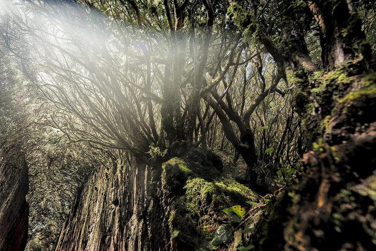 Teneriffa: Landschaftsfotografie, Coaching-Workshops 5 Std.