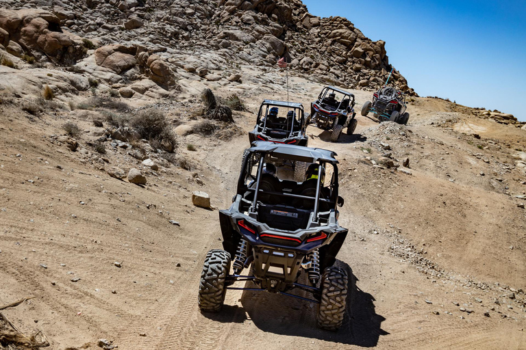 Grand Junction: Family-Friendly 4WD UTV Tour & Scenic Views