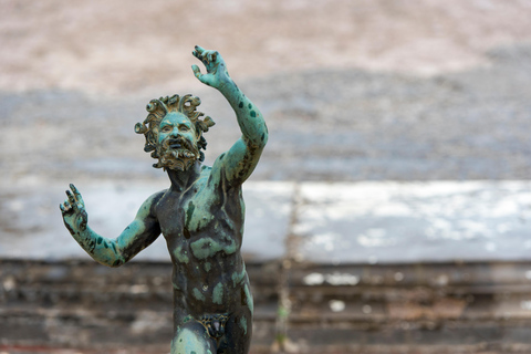 From Naples: Pompeii Shore Excursion for Cruisers with Guide From Pompeii: Guided Tour + Entry Ticket