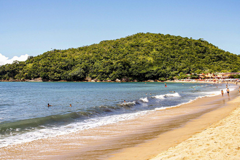 Randonnée dans la forêt de Paraty et plongée en apnée sur la plage : visite d&#039;une jounée