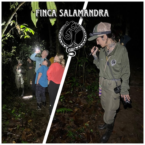 Ware Jungle Avondtour Manuel Antonio en omgeving