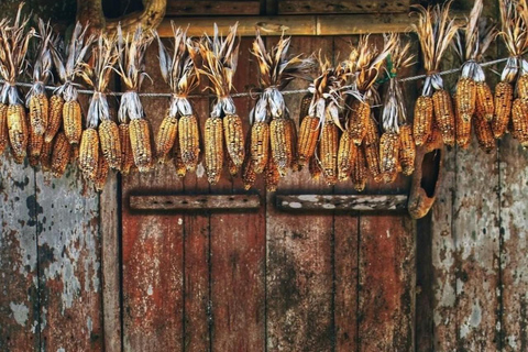 2D1N Cat Ba Island Adventure: Viet Hai Village - Lan Ha Bay