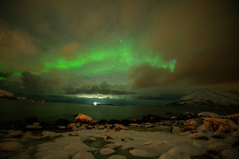 Tromsø: Northern Lights Tour with Local guide & Local Food