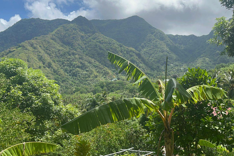 Saint Lucia: Posiadłość Safi, wodospady i doświadczenie z wulkanem