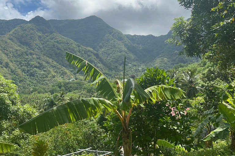 Saint Lucia: Posiadłość Safi, wodospady i doświadczenie z wulkanem
