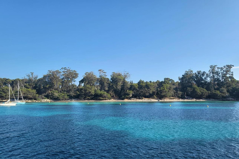 Yacht Me Up Cruzeiro Privado com Tudo Incluído Cannes Lérins SailUm dia na baía de Cannes com tudo incluído