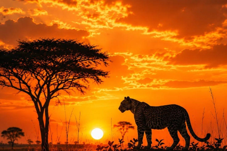 Nairobi National Park Evening Game Drive & sundowner Nairobi National Park Evening Game Drive & sundowner - VAN