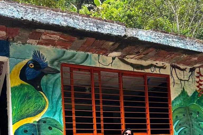 Cali: El Alemán Waterfall Hike in Farallones Park