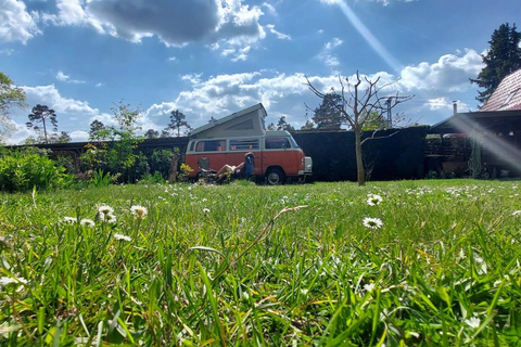 VW T2 Camper/Bulli rental for 2 days