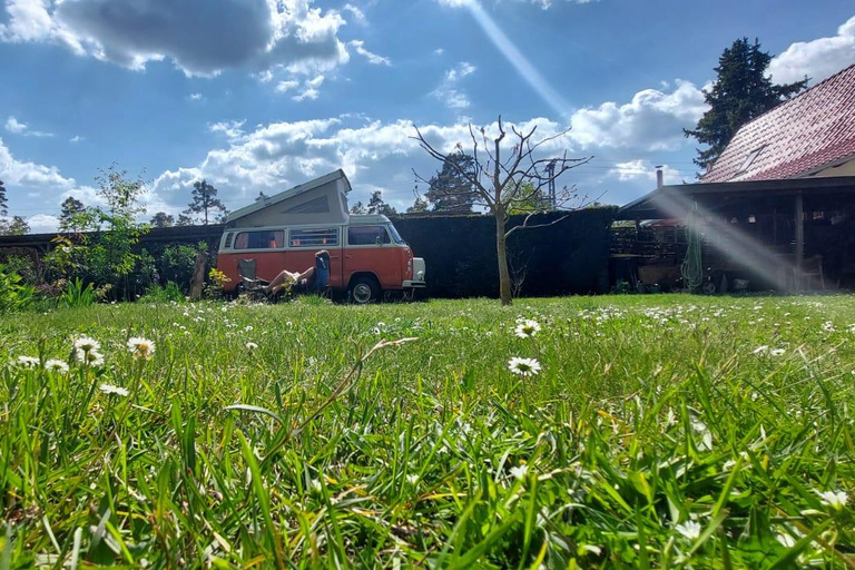 VW T2 Camper/Bulli rental for 2 days